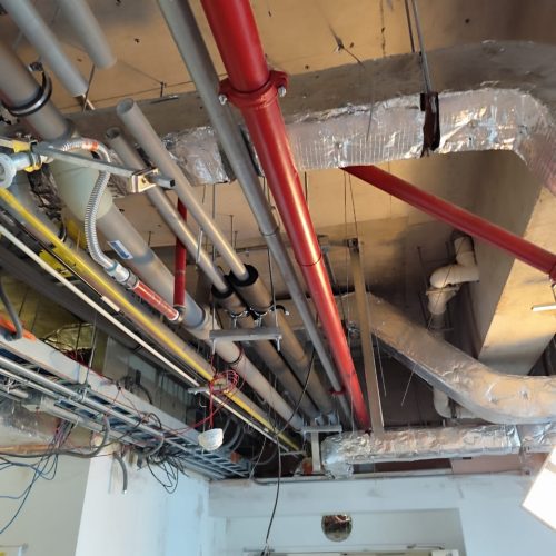 WhatsApp Image 2025-09-01 at 9.07.15 AM (1)