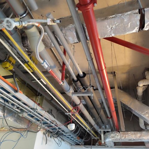 WhatsApp Image 2025-09-01 at 9.07.16 AM (2)